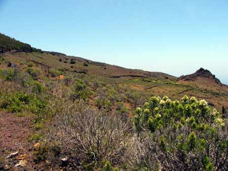 Wildromantische Landschaft