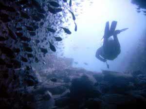 Tauchen El Hierro